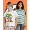 Polera Dragón Ball Dragón – Estilo Único para Fans del Anime INKFUSION